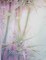 Bamboo Grove Designer Printed AIDA Fabric. Canvas for embroidery with an applied background KF-1083A